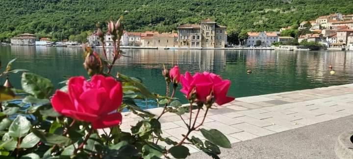 Apartmani Petar I Luka Bakar Exterior foto